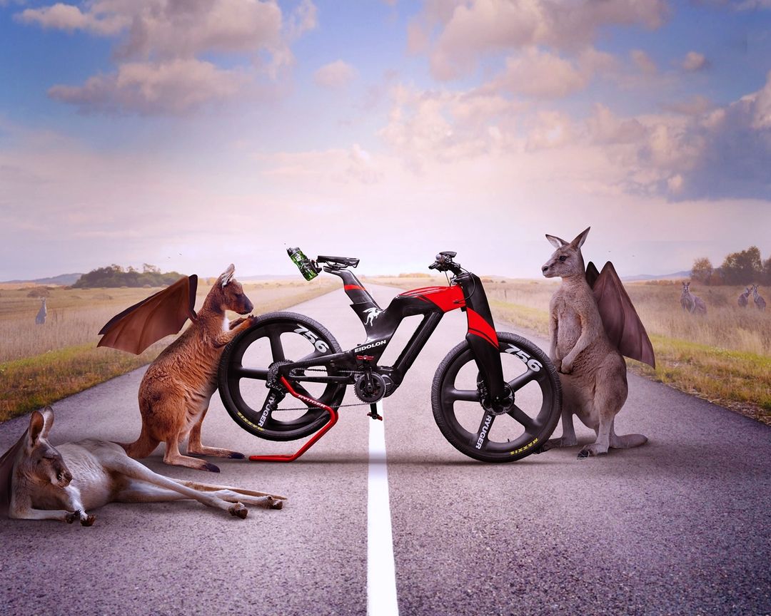 Products – Ryuger Bikes